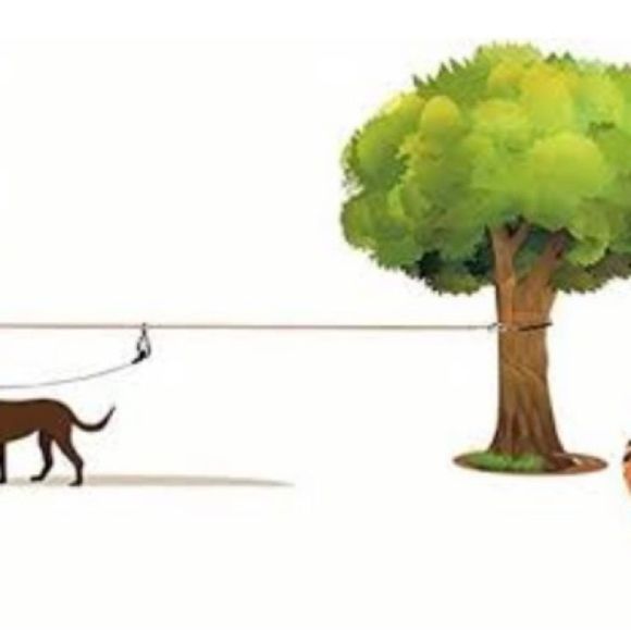 ARCADIA TRAIL DOG PACKABLE TIE OUT & LEASH - Picture 7 of 8